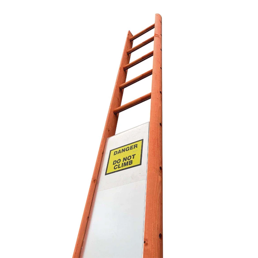 047500_ladder-guard_wbg.jpg